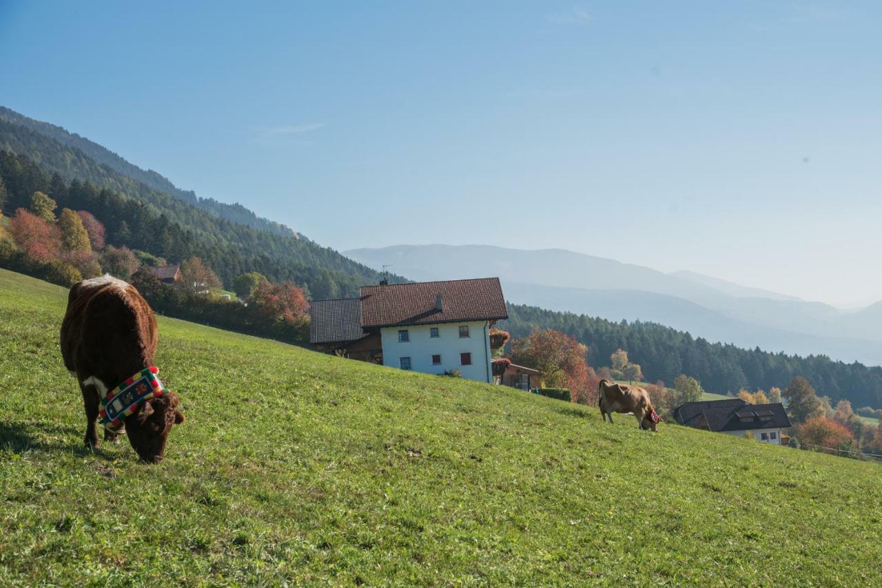 Villa Oberbaumgartnerhof Falzes Esterno foto